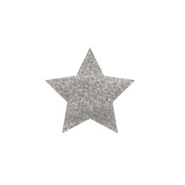 copy of GLITTER POWDER PEN Hologr. Plata